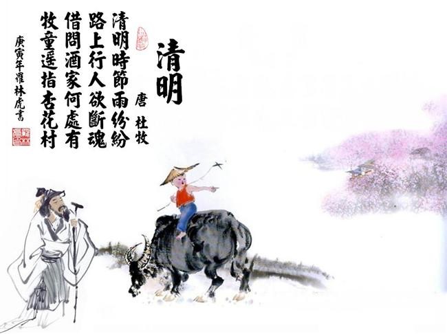天阶岛应用宝版下载